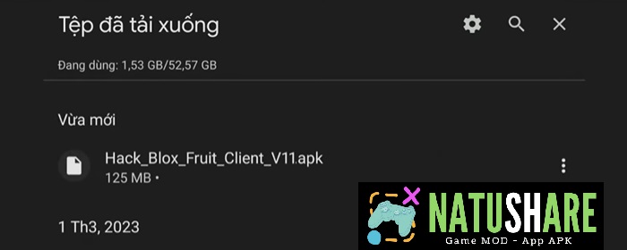 hack-blox-fruit-5