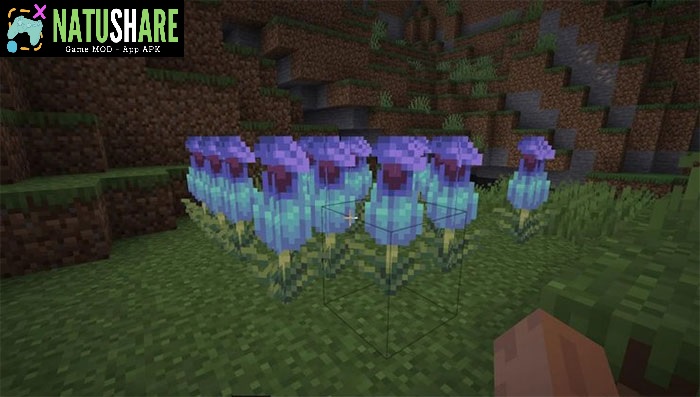 minecraft-1-19-81-apk