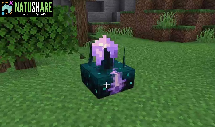 minecraft-1-19-81-pe