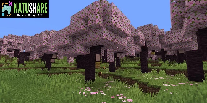 minecraft-1-20-0-24-beta
