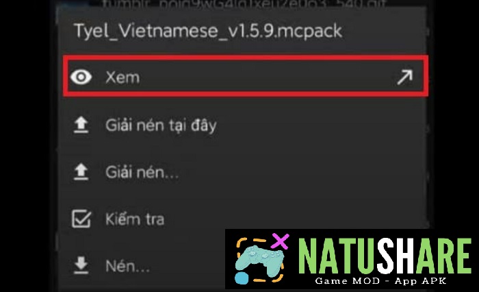 the-ty-els-vietnamese-language-pack-6